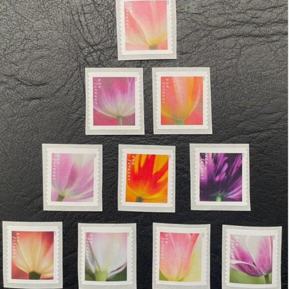 US 2023  Tulip Blossoms Forever Stamps (1000 stamps) - Picture 8 of 9